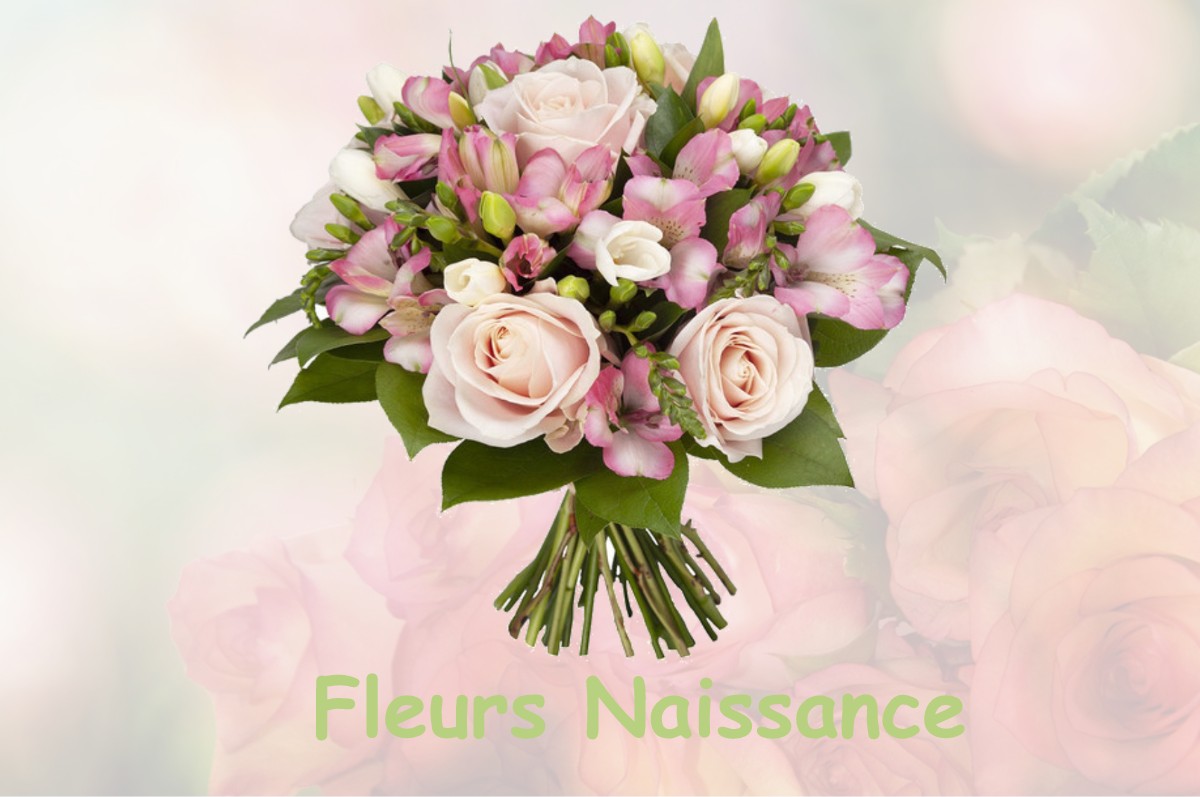 fleurs naissance FUSTIGNAC