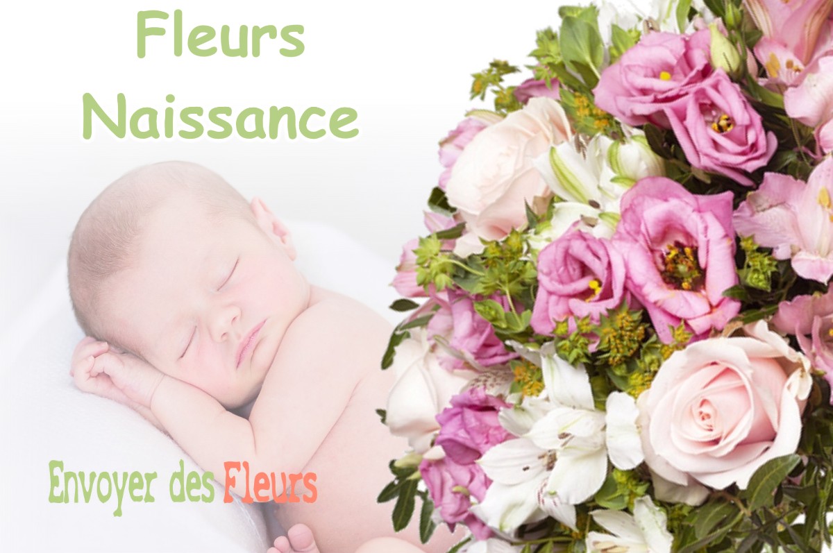 lIVRAISON FLEURS NAISSANCE à FUSTIGNAC