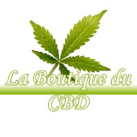 LA BOUTIQUE DU CBD FUSTIGNAC 